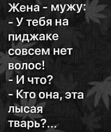 Жена мужу У тебя на пиджаке совсем нет волос И что Кто она эта лысая тварь