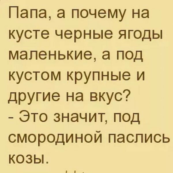 Папа а почему на кусте черные ягоды маленькие а под кустом крупные и другие на вкус Это значит под смородиной паслись козы