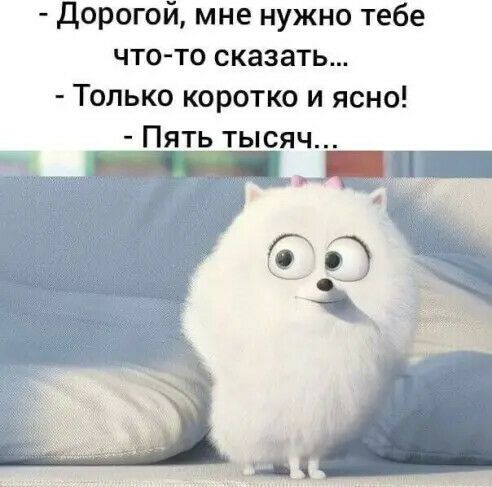 Дорогой мне нужно тебе что то сказать Только коротко и ясно Пять тысяч