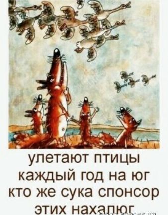 улетают птицы каждый год на юг кто же сука спонсор этих нахашщ