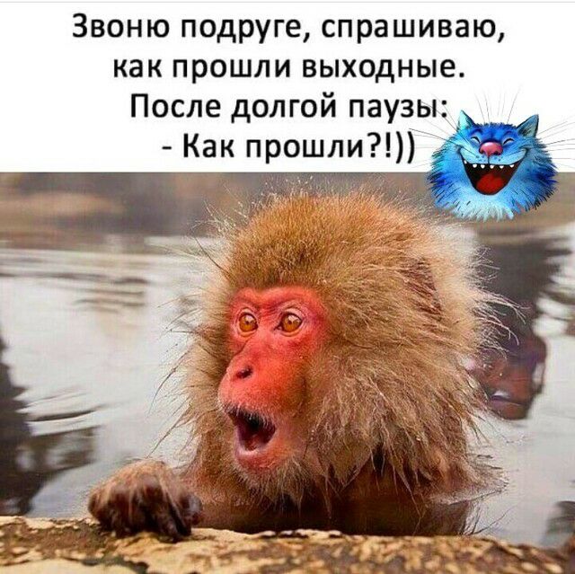Звоню подруге спрашиваю как прошли выходные После долгой паузы Как прошли