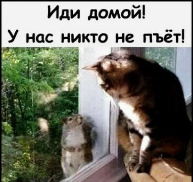 Иди домой У нас никто не пъёт