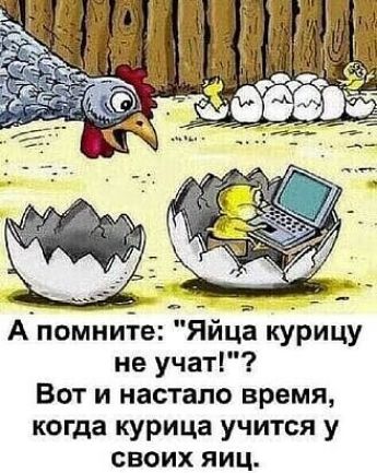 А помните Яйца курицу не учат Вот и настало время когда курица учится у своих яиц