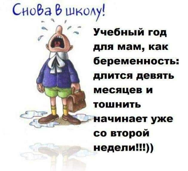 Сноёа ШКОАу Учебный год для мам как беременность длится девять месяцев и тошнить начинает уже со второй недели