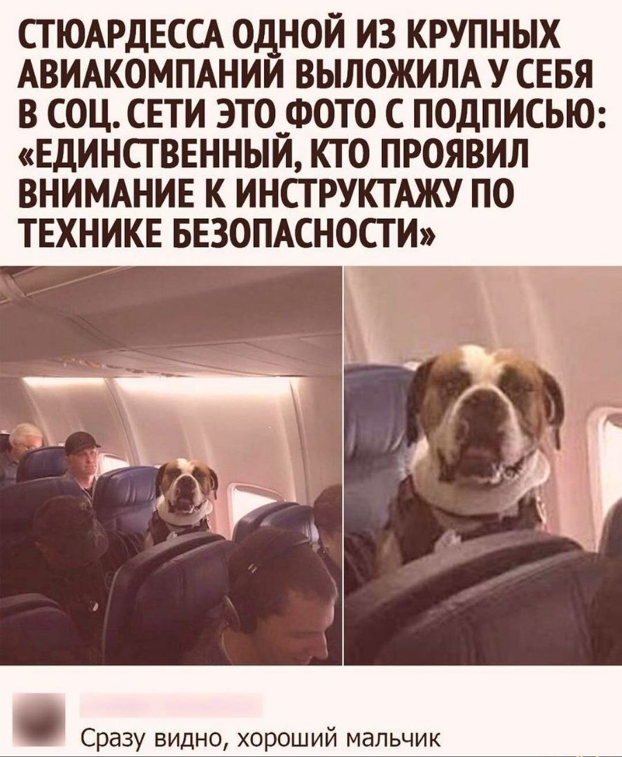 СТ ЮАРДЕССА ОДНОЙ ИЗ КРУПНЫХ АВИАКОМПАНИИ ВЫЛОЖИЛА У СЕБЯ В СОЦ СЕТИ ЭТО_ФОТО С ПОДПИСЬЮ ЕДИНСТВЕННЫИ КТО ПРОЯВИЛ ВНИМАНИЕ К ИНСТРУКТАЖУ ПО ТЕХНИКЕ БЕЗОПАСНОСТИ Сразу видно хороший мальчик