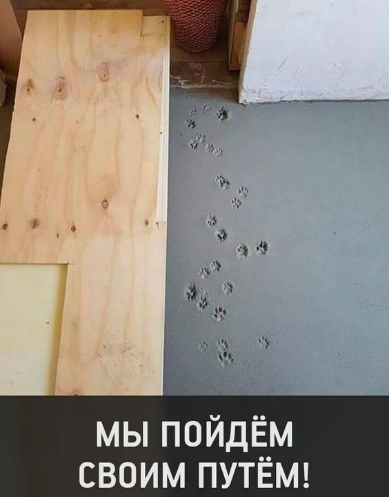 МЫ ПОИДЁМ СВОИМ ПУТЁМ