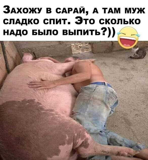 ЗАхожу в сдмй А ТАМ муж слАдко спит Это сколько нддо Было выпить _