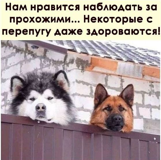 Нам нравится набАюдать за прохожими Некоторые с