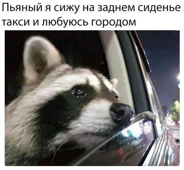 Пьяный я сижу на заднем сиденье такси и любуюсь городом