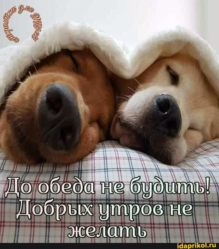 НГЁ і ДЦЁ Чёщм