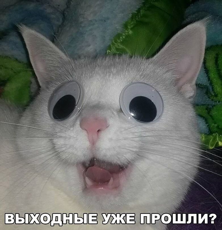 вшднЫЁ Р0Шпиг