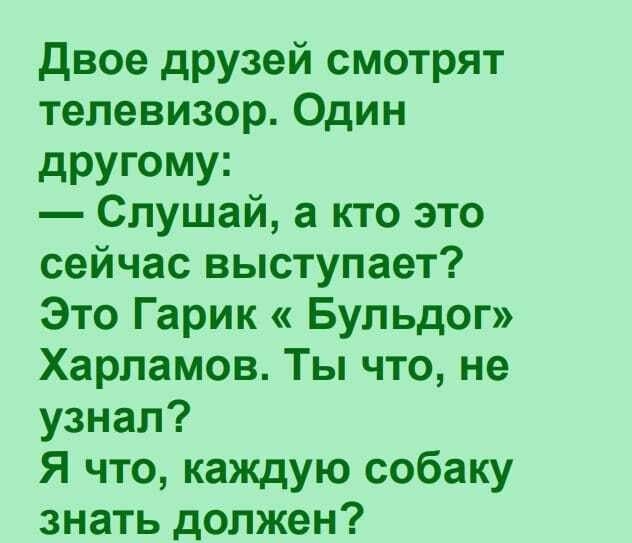 двое друзей смотрят телевизор Один дРУГОМУі Слушай а кто это сейчас выступает Это Гарик Бульдог Харламов Ты что не узнал Я что каждую собаку знать должен