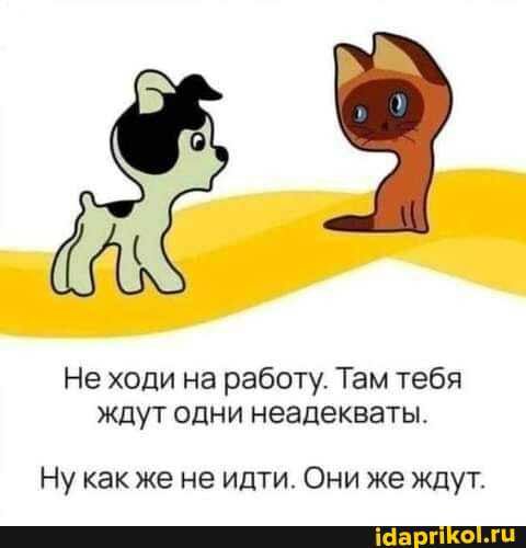 Не ходи на работу Там тебя ждут одни неадекватьь Ну как же не идти Они же ждут