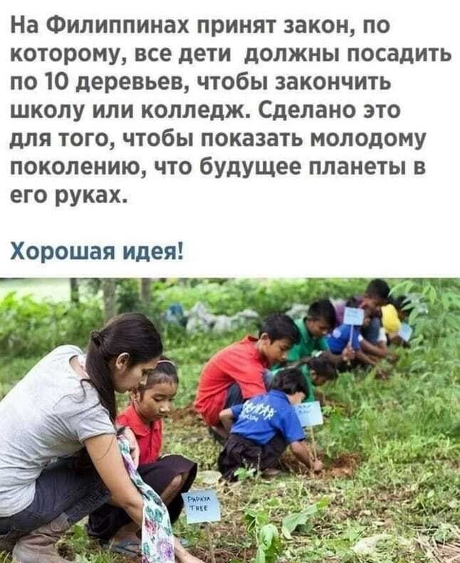 На Филиппинах принят закон по которому все дети должны посадить по 10 деревьев чтобы закончить школу или колледж Сделано это для того чтобы показать молодому поколению что будущее планеты в его руках Хорошая идея