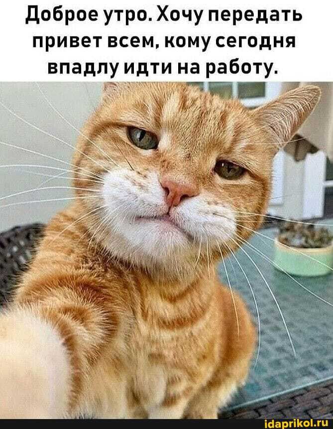 доброе утро Хочу передать привет всем кому сегодня впадлу идти на работу іаа гіКоги