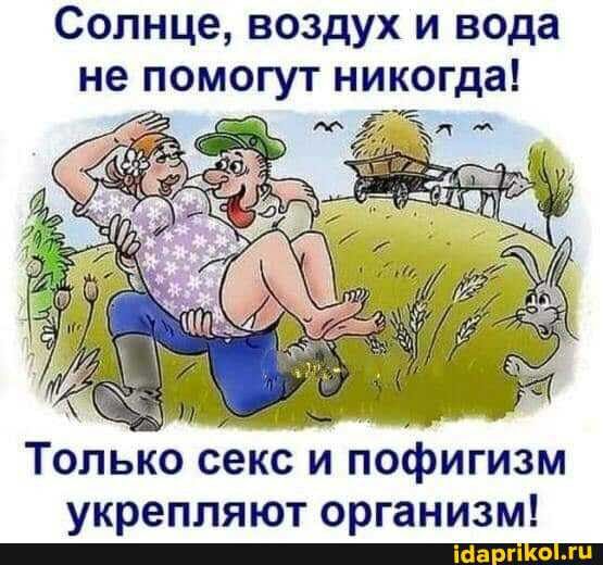 Солнце воздух и вода не помогут никогда Только секс и пофигизм укрепляют организм
