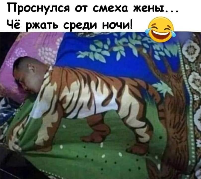 Проснулся от смеха жены Чё