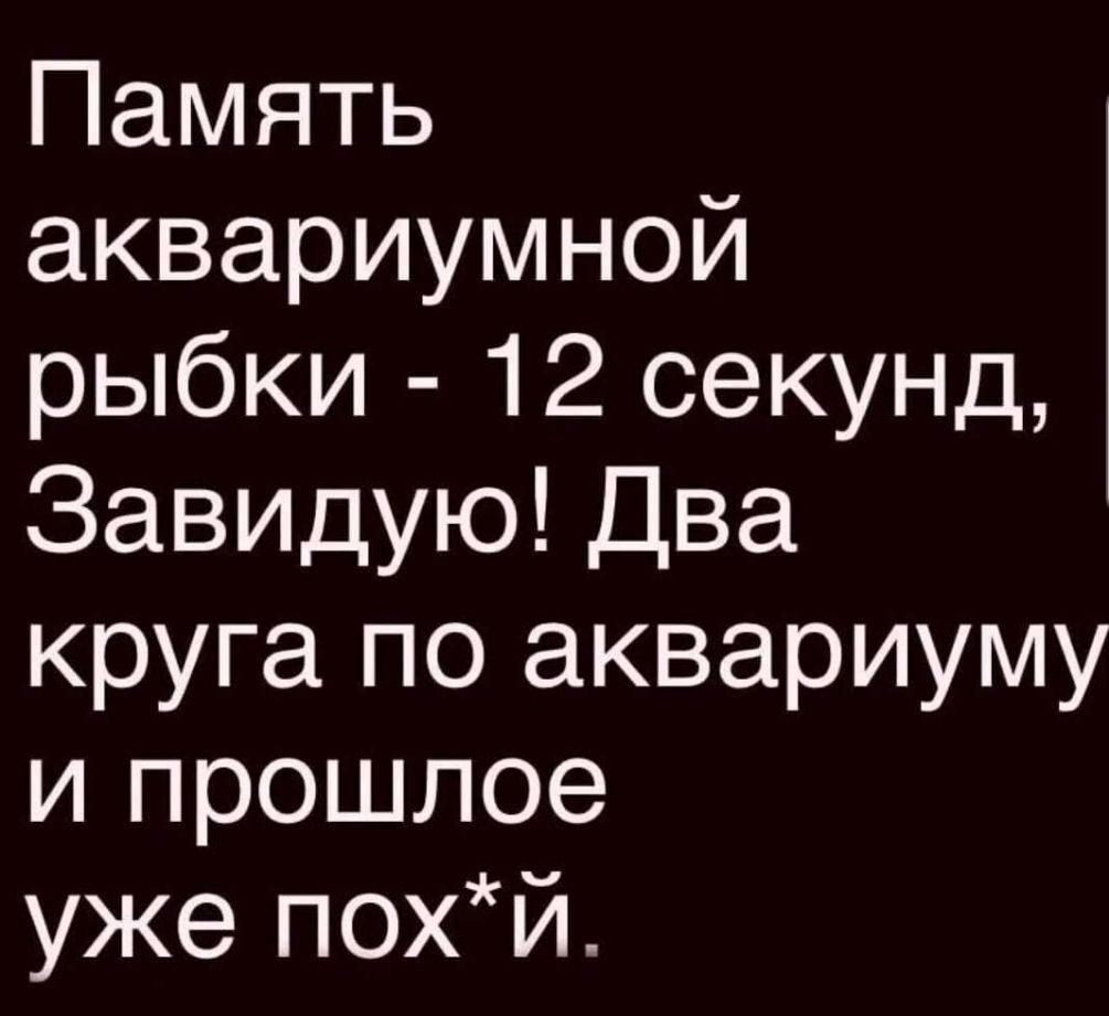 Память аквариумной рыбки 12 секунд Завидую Два круга по аквариуму и прошлое уже похй