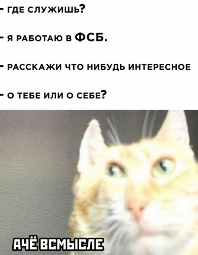 где служишь я РАБОТАЮ в ФСБ РАССКАЖИ что ниеудь интересное о теве или о себе дчё всмысле