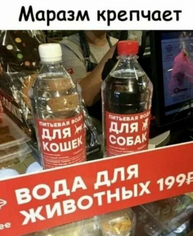 Маразм крепчает 1 __ Ё Ё 5 _ ттд 16 _ Птн А і для 1 ЦЁБЕ СОБАК