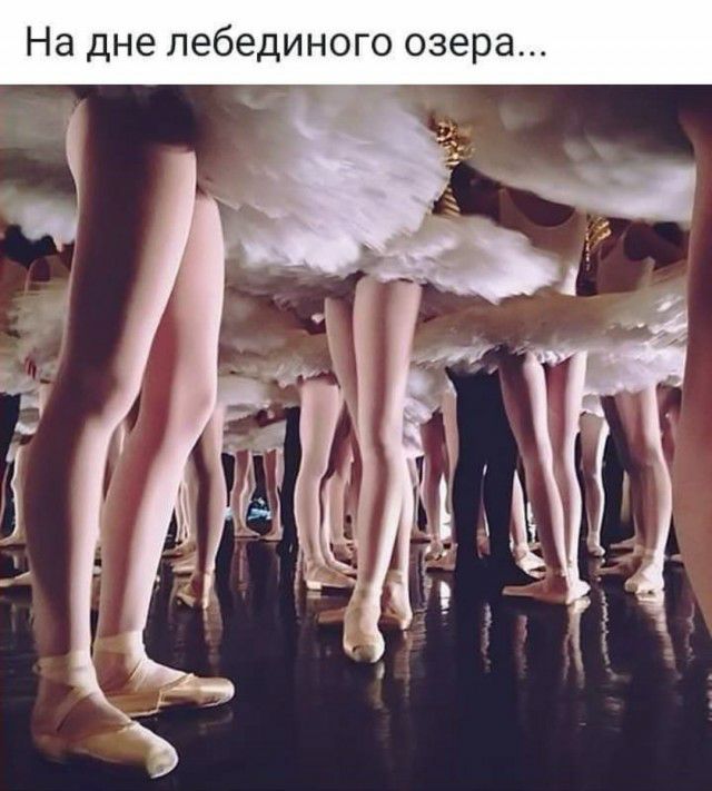 На дне лебединого озера