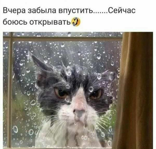 Вчера забыла впустить Сейчас боюсь открывать