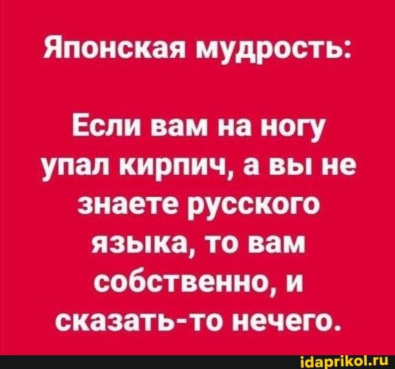 Японская мудрость Если ни на ногу упал кирпич а вы не русскою языка то вам собственно и слизать то нечего _