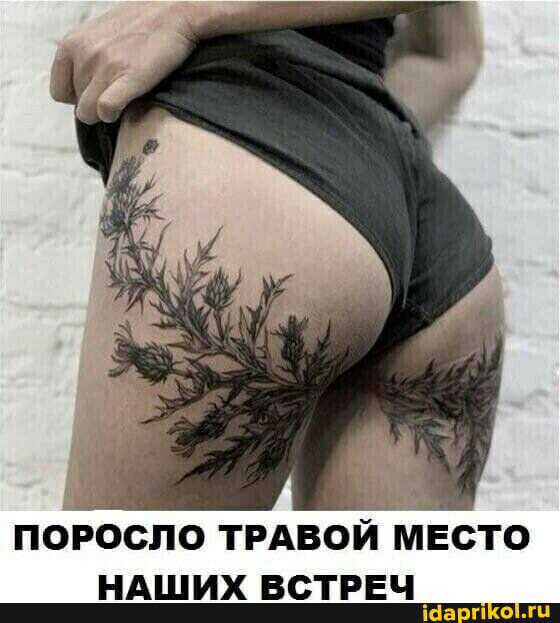 ПОБОСЛО ТРАВОЙ МЕСТО НАШИХ ВСТРЕЧ