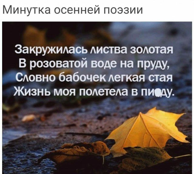Минутка осенней поэзии Закружмась Аиства зодотая В розоватой воде на пруду ьгСАовно бабочек Аегкая стая Жизнь моя подетеАа в пищу