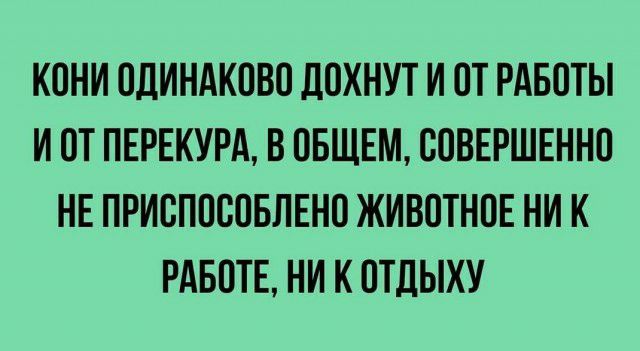 КОНИ ОДИНАКПВО ДОХНУТ И ОТ РАБОТЫ И ОТ ПЕРЕКУРА В ОБЩЕМ СПВЕРШЕННП НЕ ПРИСППСОБЛЕНО ЖИВОТНОЕ НИ К РАБПТЕ НИ К ОТДЫХУ
