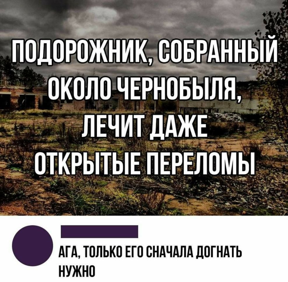 1 _ подорБЁкник дгднныи околочврновыла ЛЕЧИТДАЖЕ открытьшпнрвломы _ АГА ЮЛЬКП ЕГО СНАЧАЛА ЛОГНАТЬ НУЖНО