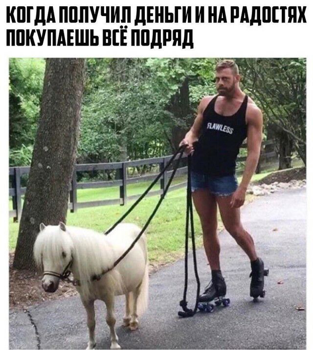 КШДА ПППУЧИД дЕНЬГИ И НА РАДППЯХ ППКУПАЕШЬ НЕЕ ППдРЯд