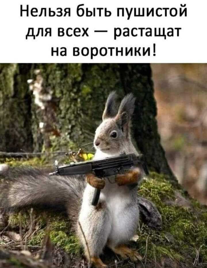 Нельзя быть пушистой для всех растащат на воротники