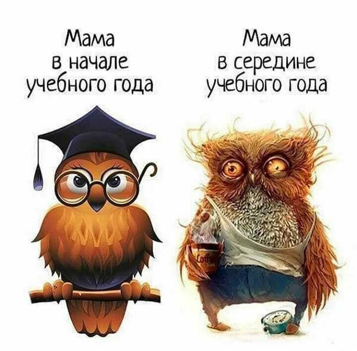 Мама Мама в начале в середине учебного года учебного года