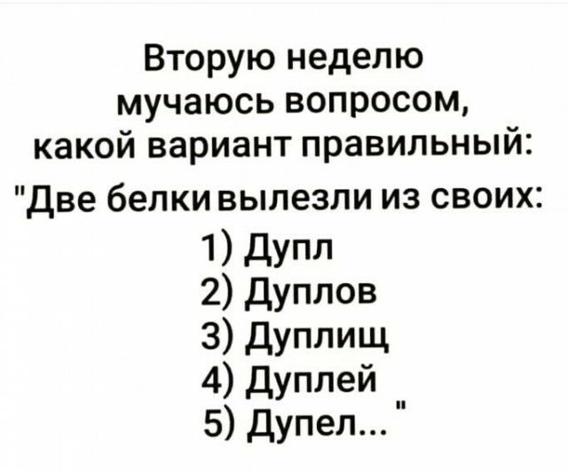 Вторую неделю мучаюсь вопросом какой вариант правильный Две белки вылезли из своих 1 Дупл 2 Дуплов 3 дуплищ 4 Дуплей 5 Дупел
