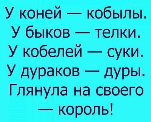 Унтё Убито Ума У _ _ ГЮ