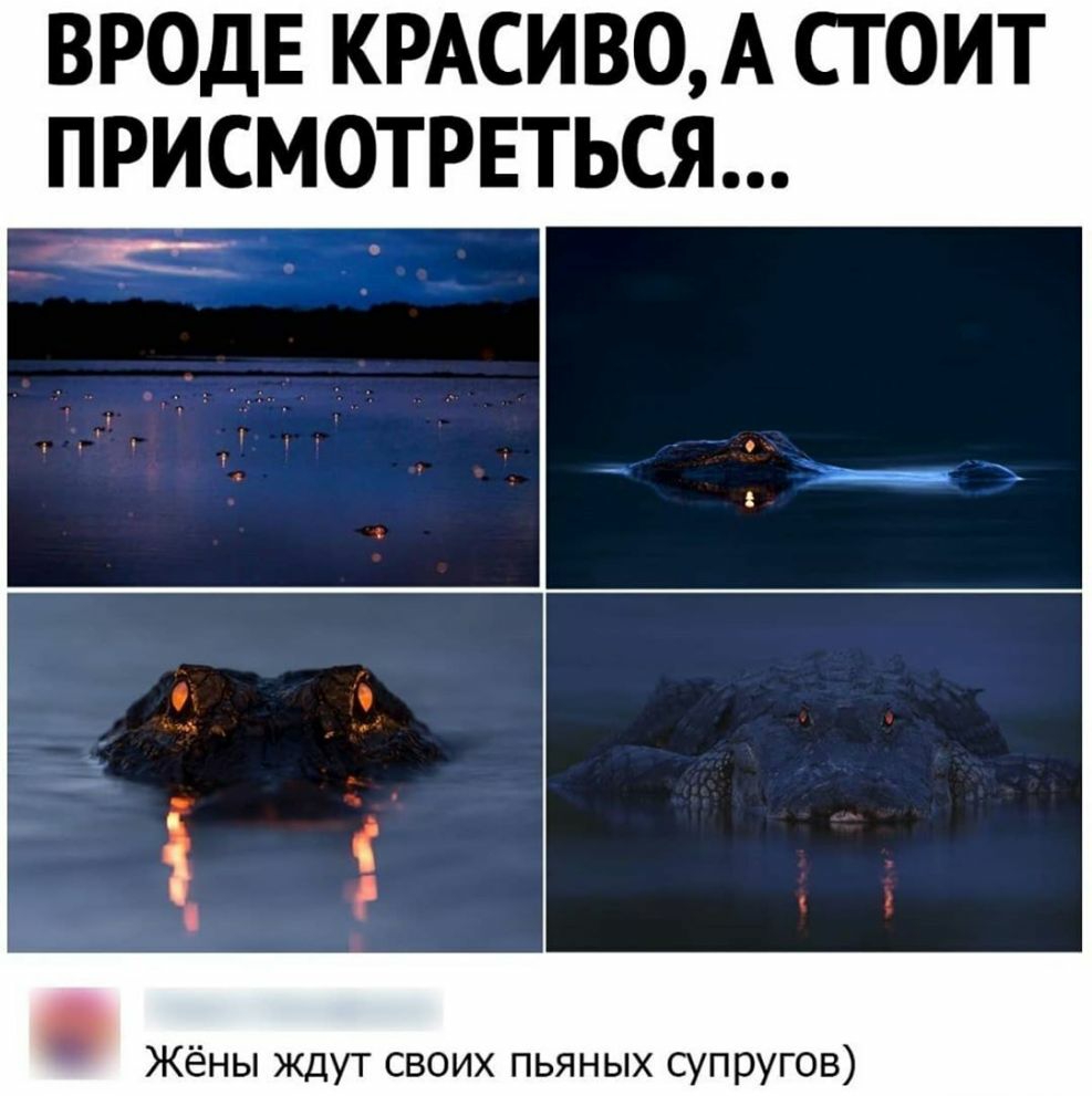 ВРОДЕ КРАСИВОА СГ ОИТ ПРИСМОТРЕТЬСЯ Жёны ждут своих пьяных супругов