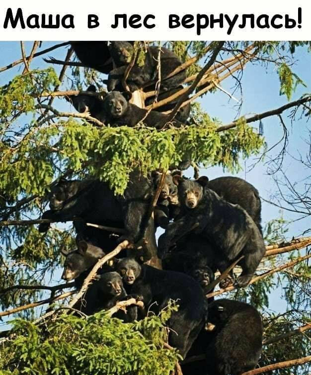 Маша в пе с вернулась ч