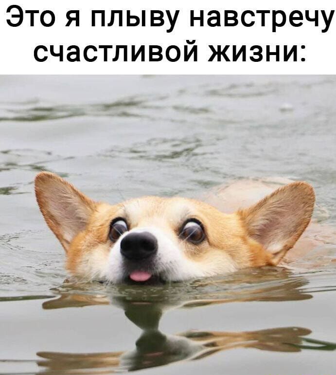 Это я плыву навстречу счастливой жизни