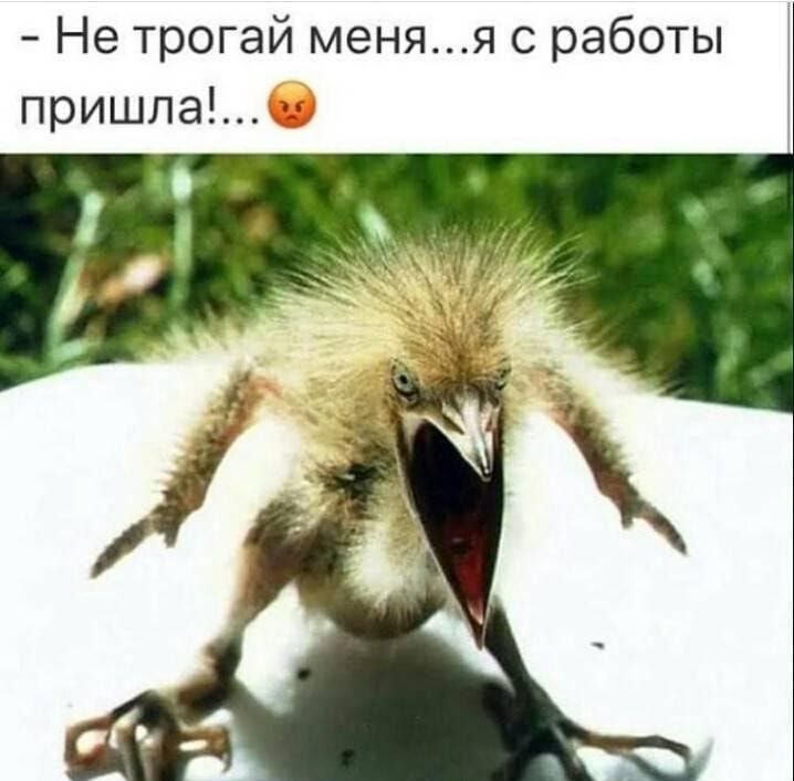Не трогай меняя с работы пришла