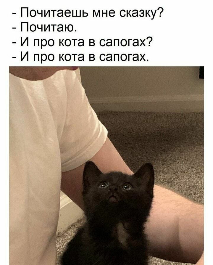 Почитаешь мне сказку Почитаю И про кота в сапогах И про кота в сапогах