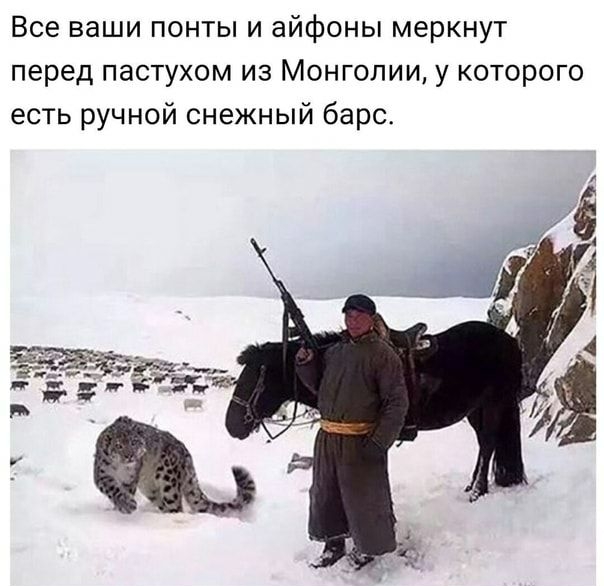 Все ваши понты и айфоны меркнут перед пастухом из Монголии у которого есть ручной снежный барс