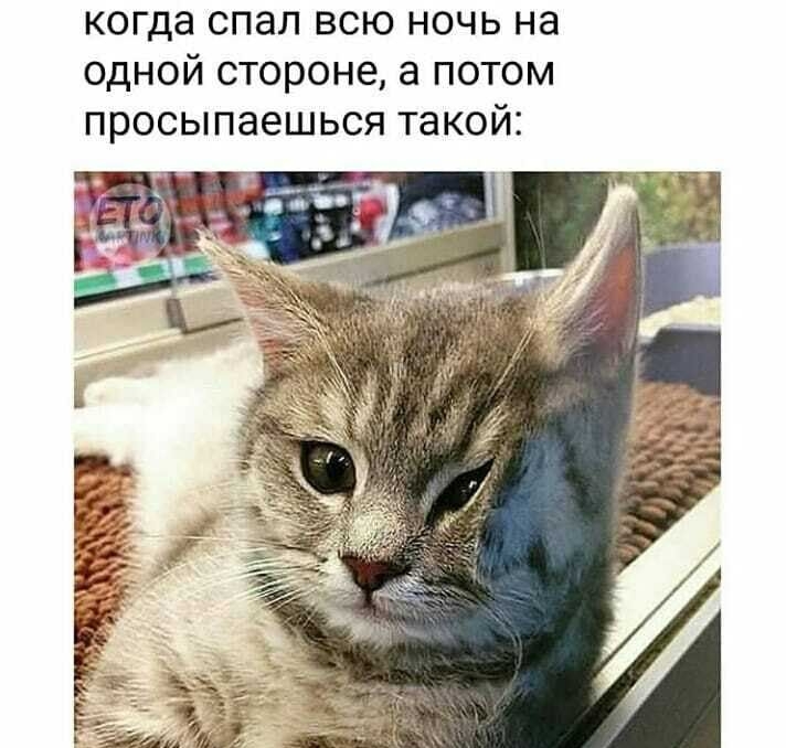 когда СПЗЛ ВСЮ НОЧЬ на ОДНОЙ СТОРОНЕ а ПОТОМ ПРОСЫПЭЕШЬСЯ такой