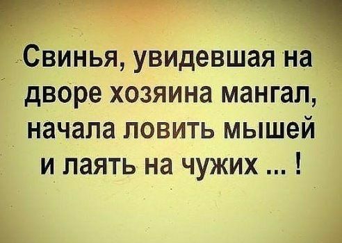 СЁвин эіья увидевшая на _ дворе хозяина мангал _ начала ловить мышей и_ паять на чужих к 1