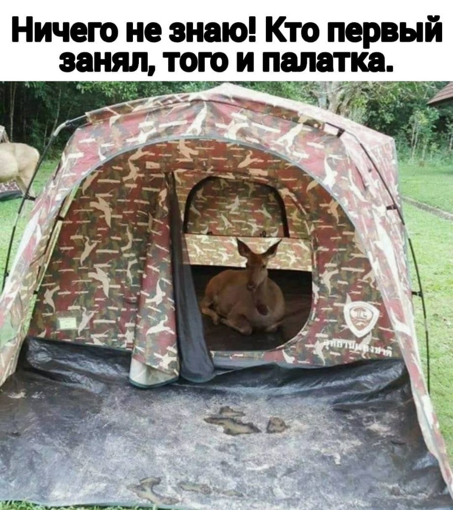 Ничего не знаю Кто первый занял того и палатка ФПщдиё _ _ __ _ 9 и м