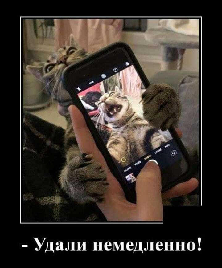 Удали немедленно