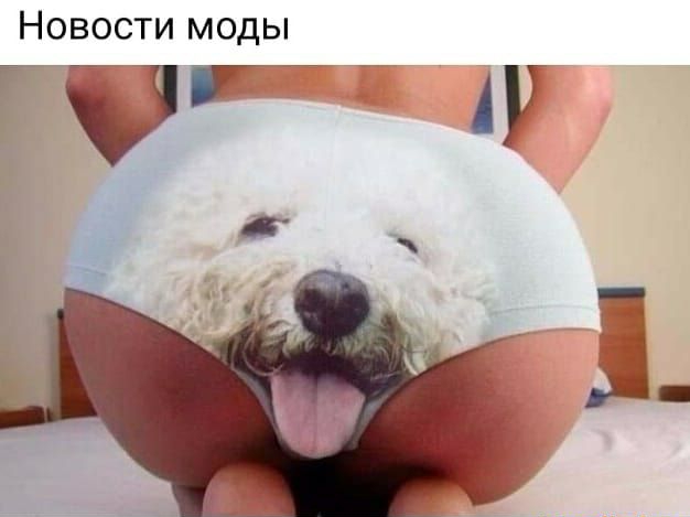 Новости моды гэг АУ