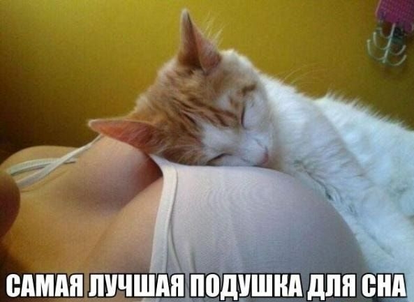 админ пичшпя пцдццшддпя ен