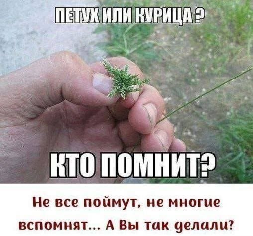 а ШП помнит Не все поймут не многие вспомнят А Вы так делали