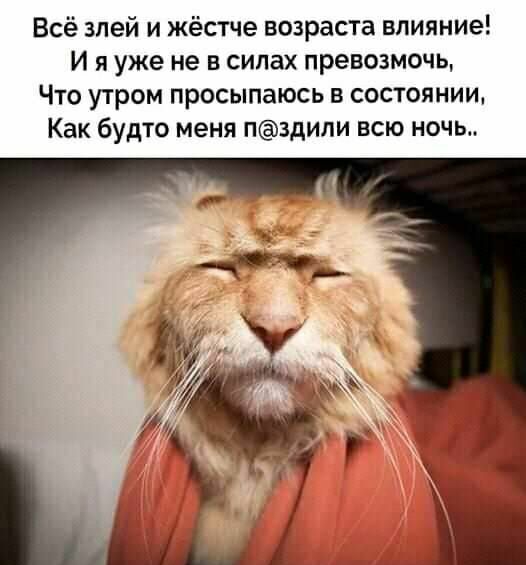 Всё зпей и жёстче возраста влияние И я уже не в силах превозмочь Что утром просыпаюсь в состоянии Как будто меня пздили всю ночь